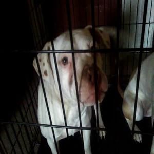 Meet your Posher, Quinton